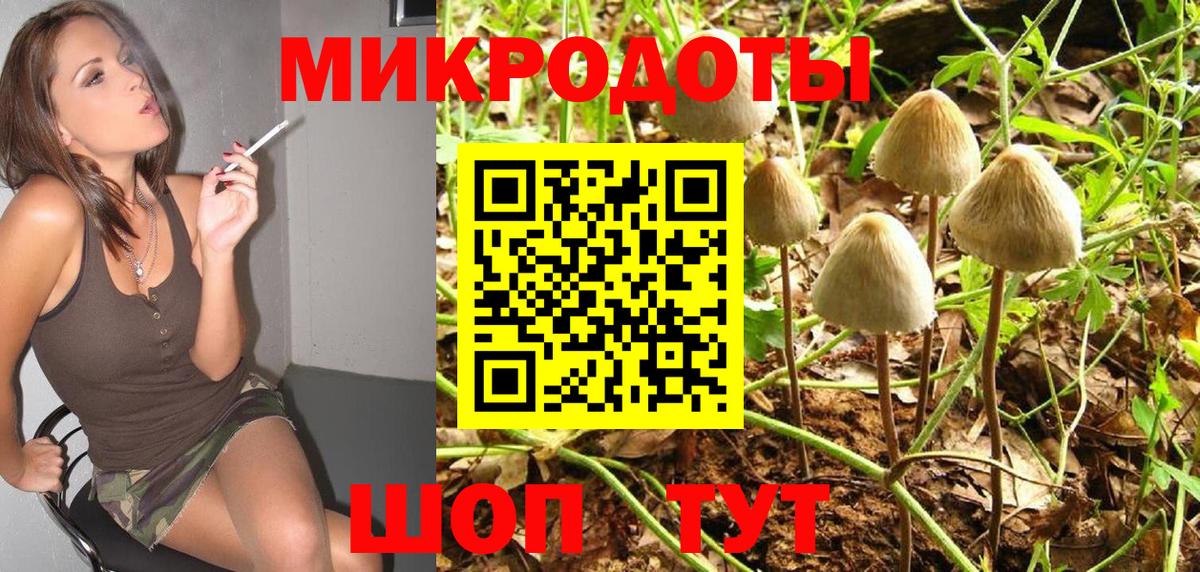 Псилоцибиновые грибы GOLDEN TEACHER Кострома