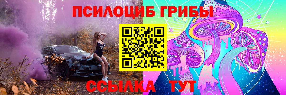 Кострома  Псилоцибиновые грибы MAGIC MUSHROOMS  Вход с VPN 