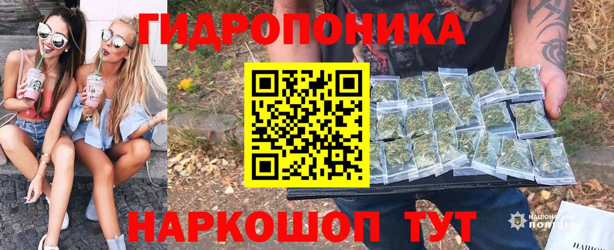 Каннабис SATIVA & INDICA  МАРИХУАНА SATIVA & INDICA  Бошки марихуана индика  Кострома  Марихуана AK-47  Вход с VPN 